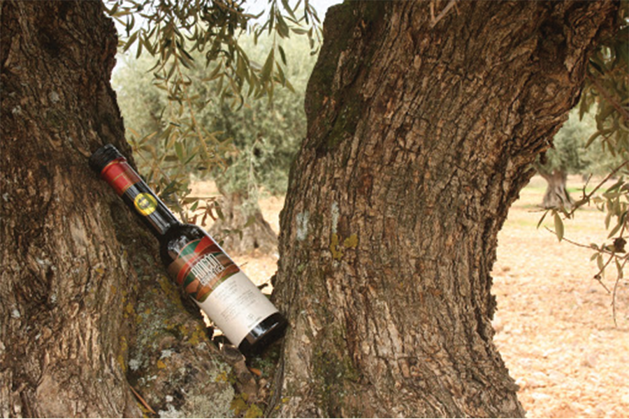 Discover the World's Best Organic Extra Virgin Olive Oil