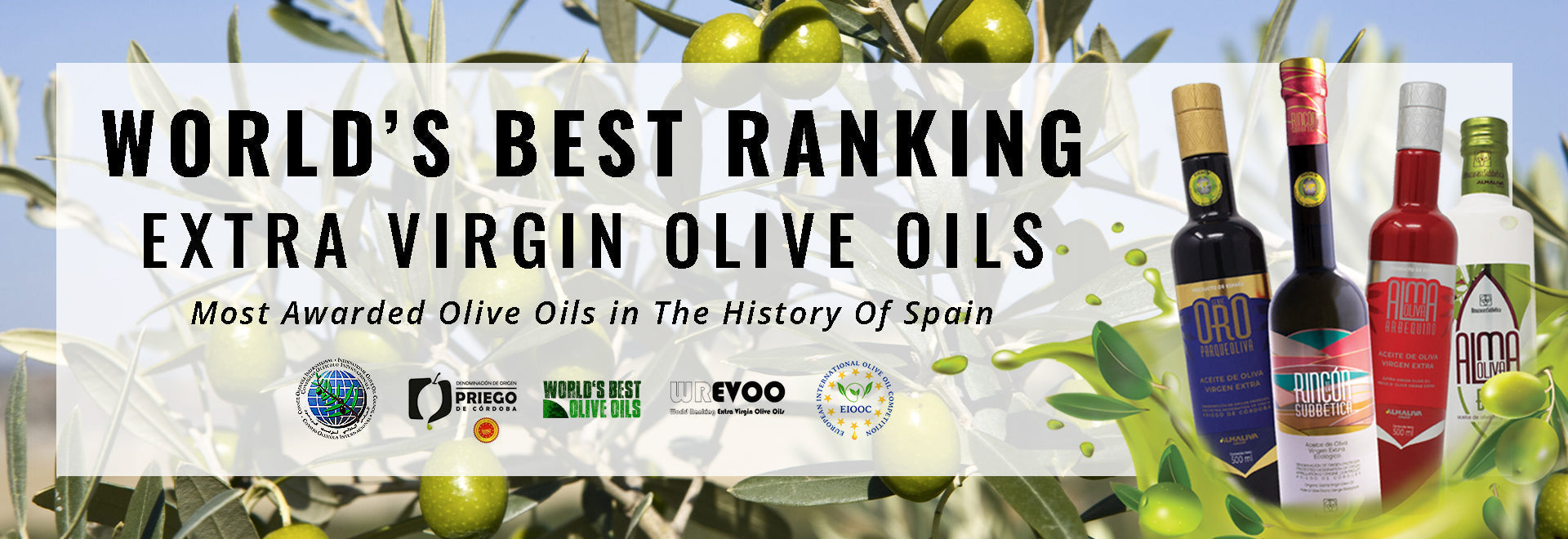 Rincon De La Subbética: The Award-Winning Organic Extra Virgin Olive Oil You Need